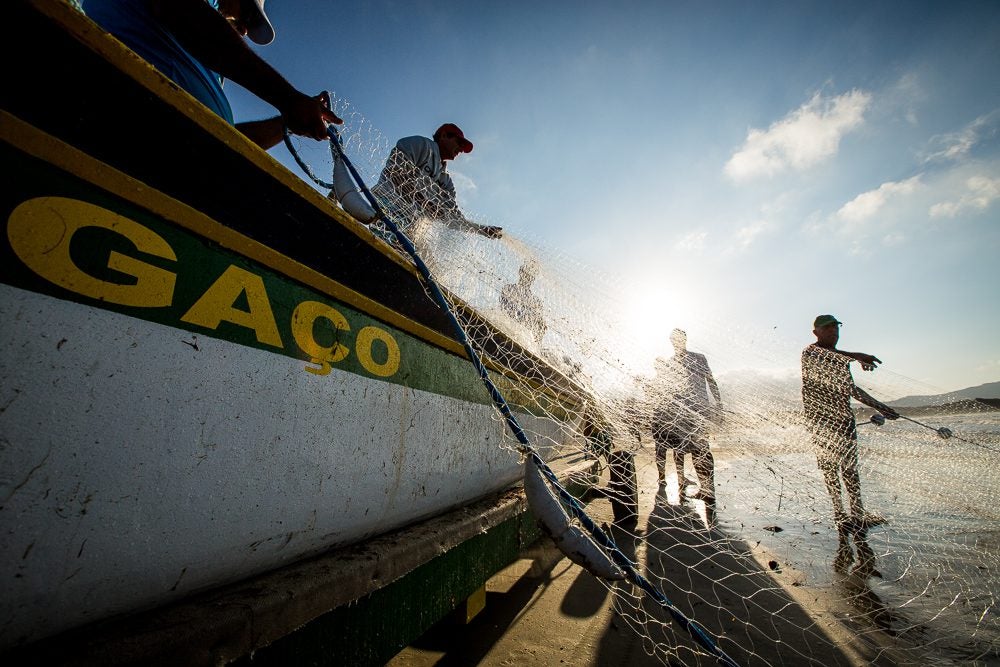 A Pesca No Brasil Segue Invis Vel Oceana Brasil