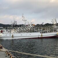 Squid-fishing boat