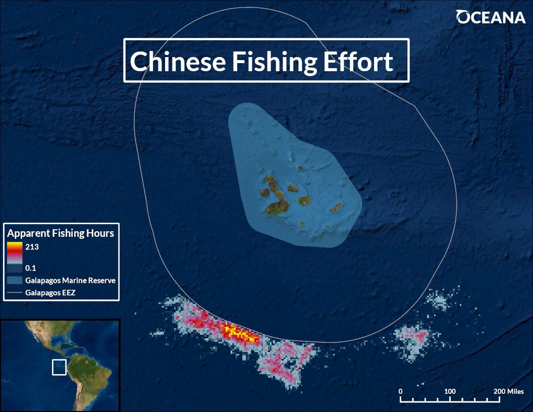 Frota pesqueira chinesa ameaça vida selvagem das Ilhas Galápagos